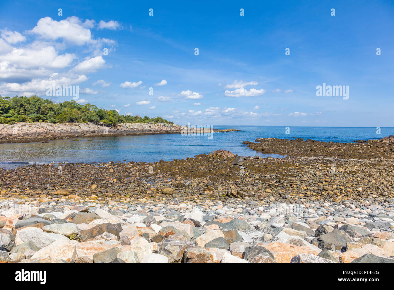 Rocky shore of Arlantic Ocean near Perkins Cove in Ogunquit  Maine in the United States Stock Photo