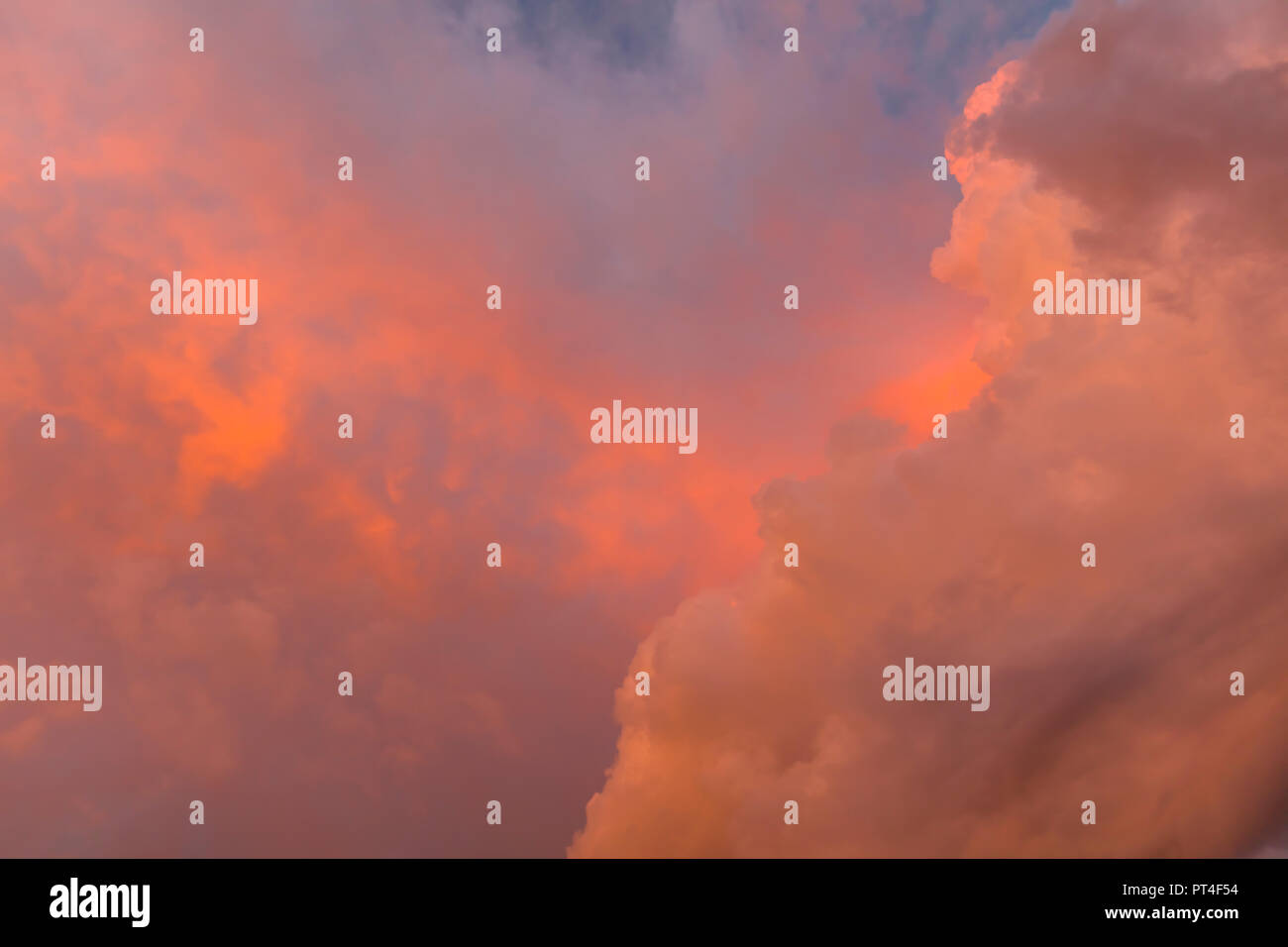 Reddish sumnmer storm clouds over southwest Florida United States Stock Photo