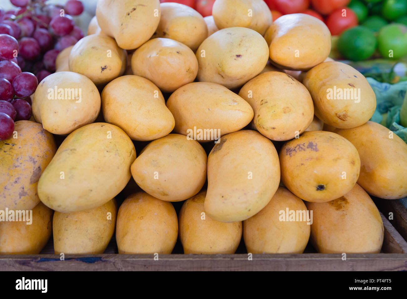 Mangoes for sale at a food market in Merida, Mexico Stock Photo Alamy