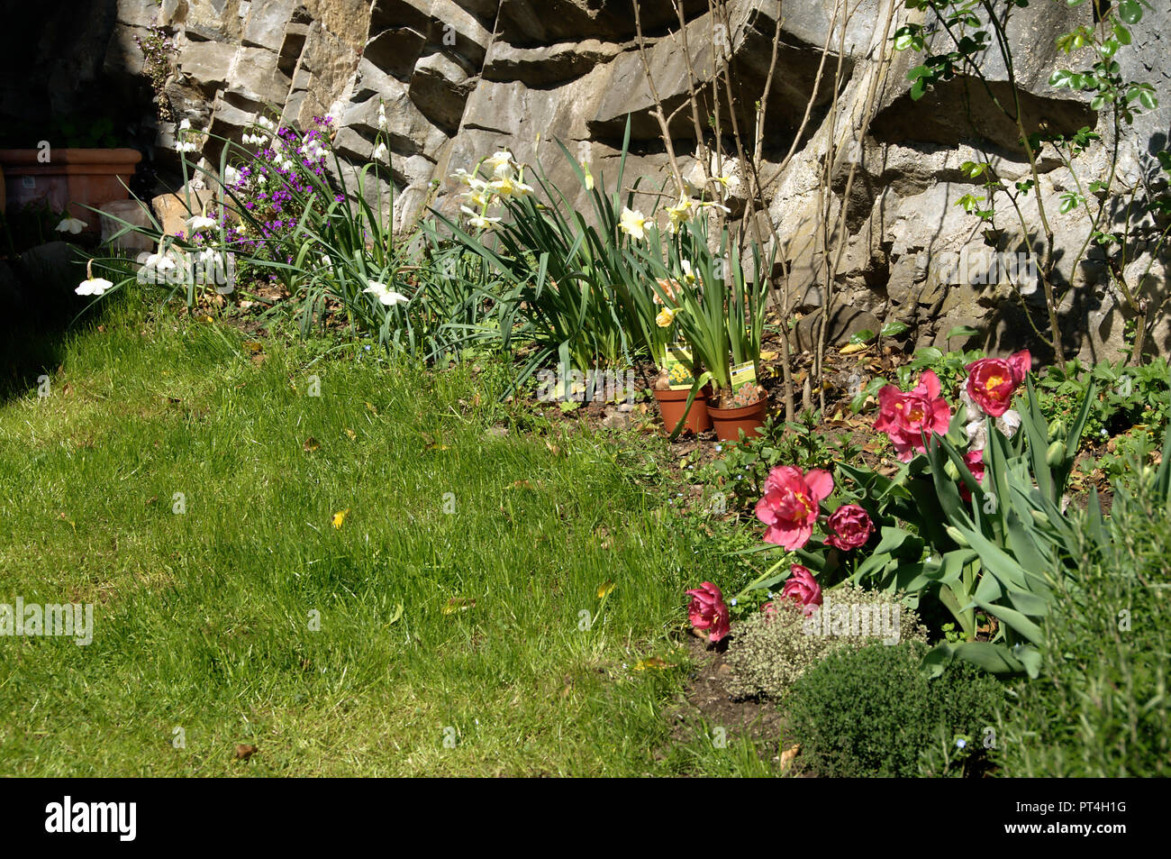 Spring flowers in corner of Swiss cottage garden Stock Photo - Alamy
