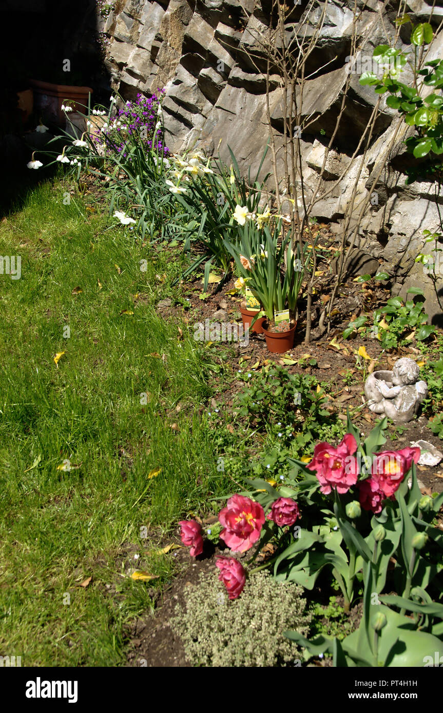 Spring flowers in corner of Swiss cottage garden Stock Photo - Alamy