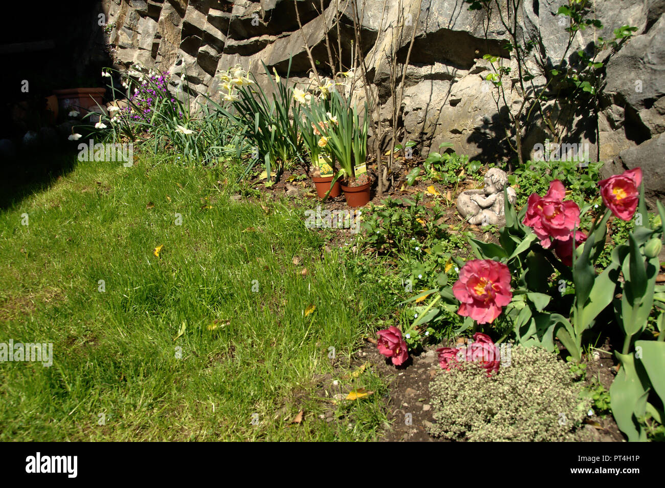 Spring flowers in corner of Swiss cottage garden Stock Photo - Alamy
