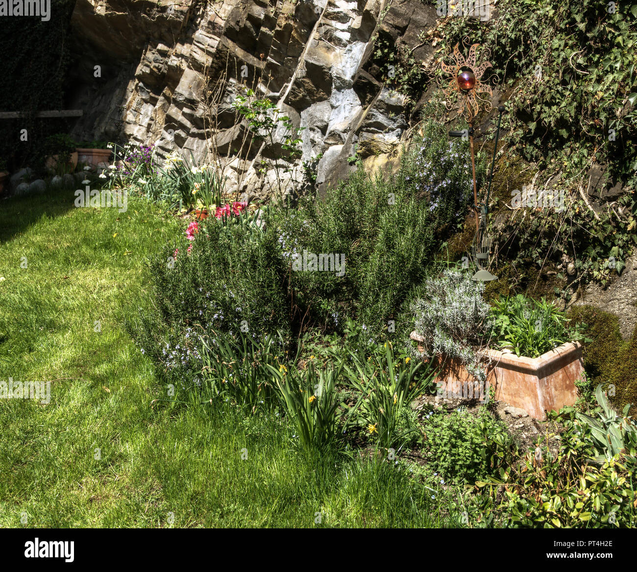 Spring flowers in corner of Swiss cottage garden Stock Photo - Alamy