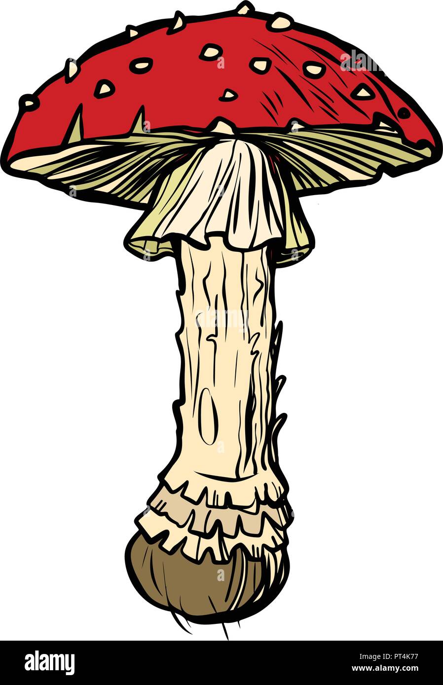 Fly agaric. Poisonous mushroom. Pop art retro vector illustration vintage kitsch Stock Vector