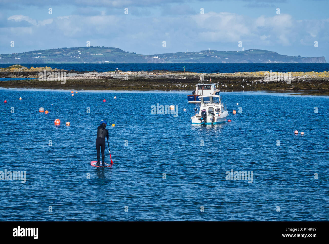 Paddleboarder in Groomsport harbour in Northern Ireland Stock Photo