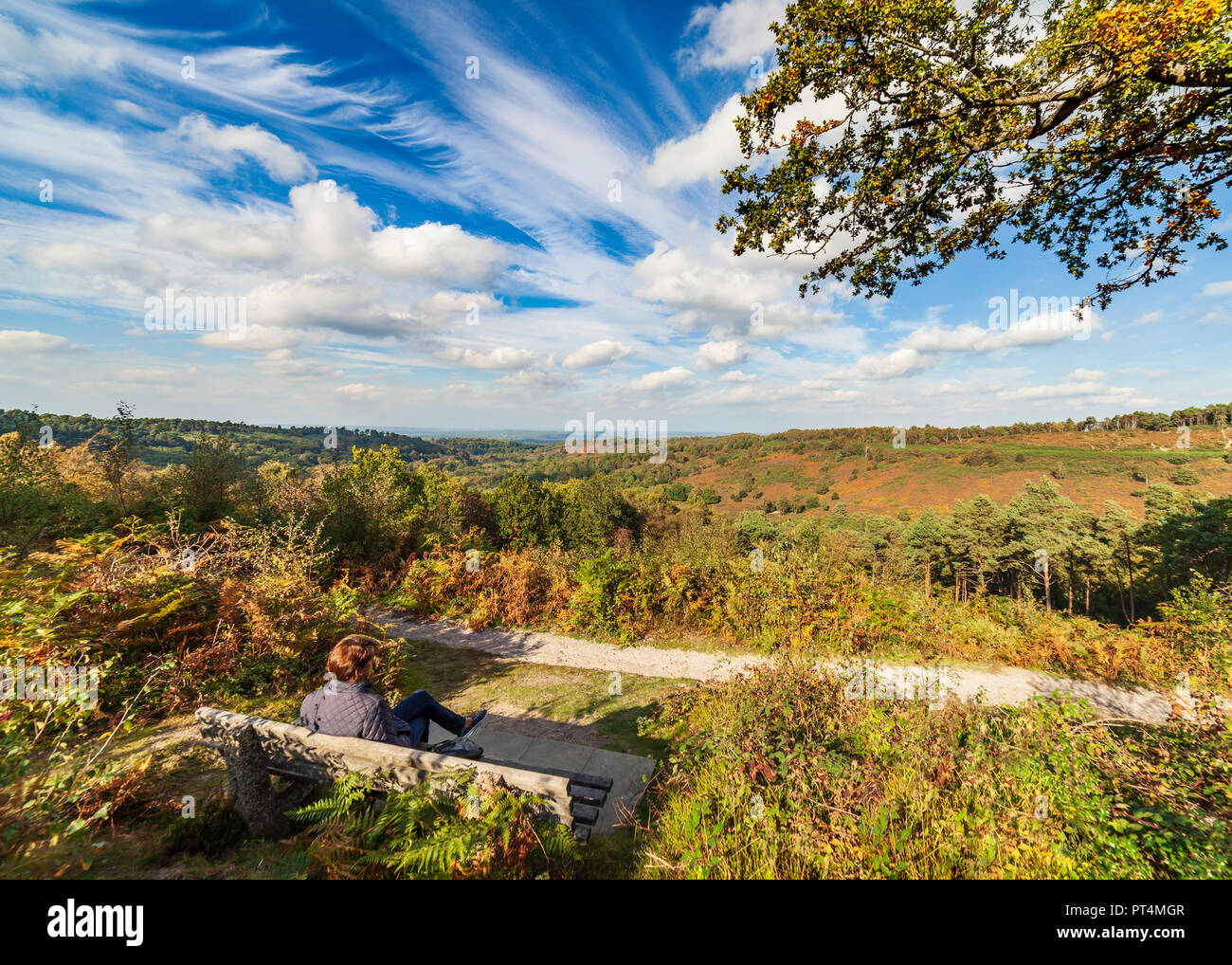 The Devils Punchbowl Hindhead. Stock Photo