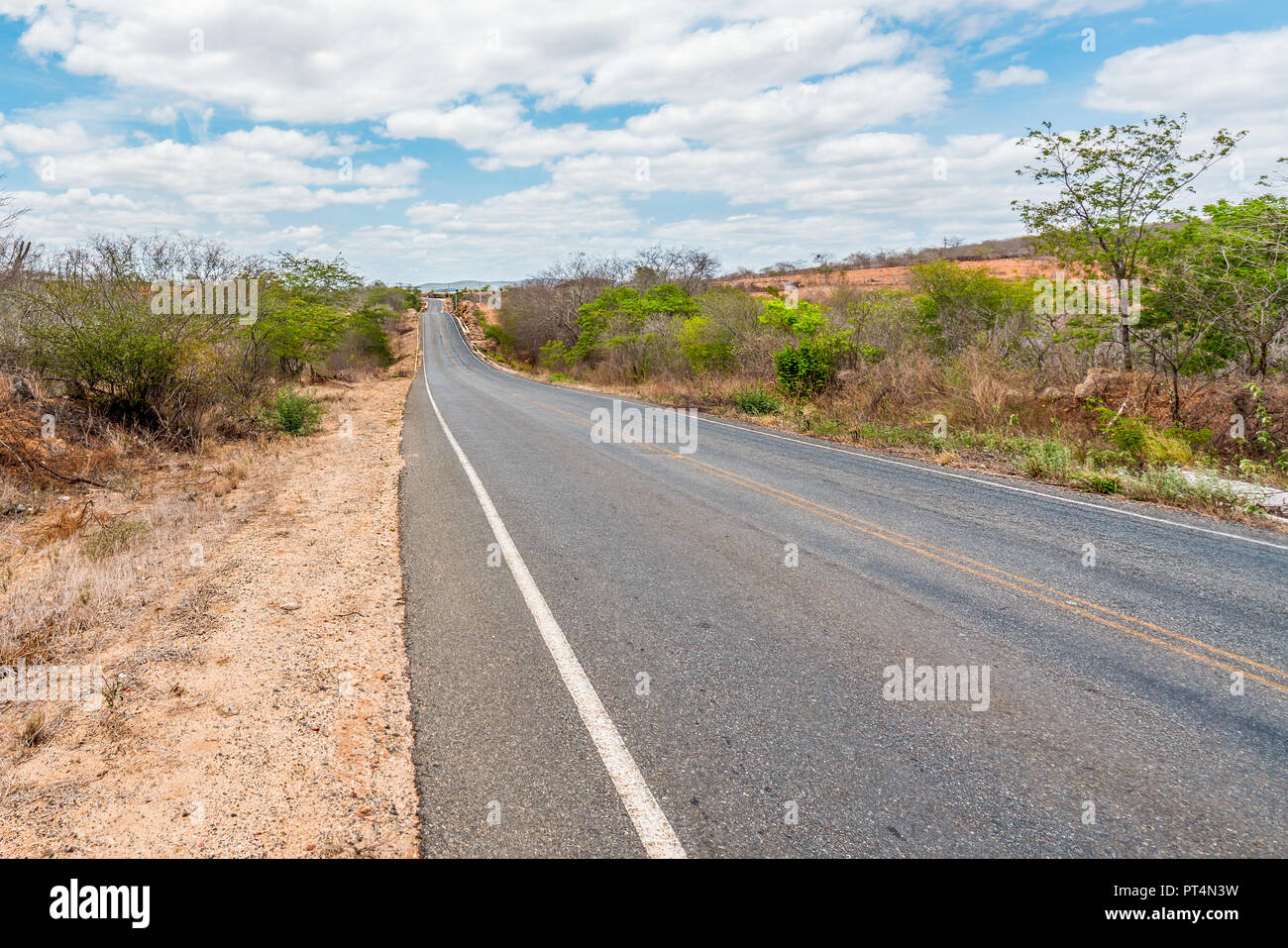 Cabaceiras, Paraíba, Brazil - February, 2018: Road to infinite with Cactus in a Caatinga Biome at Northeast of Brazil Stock Photo