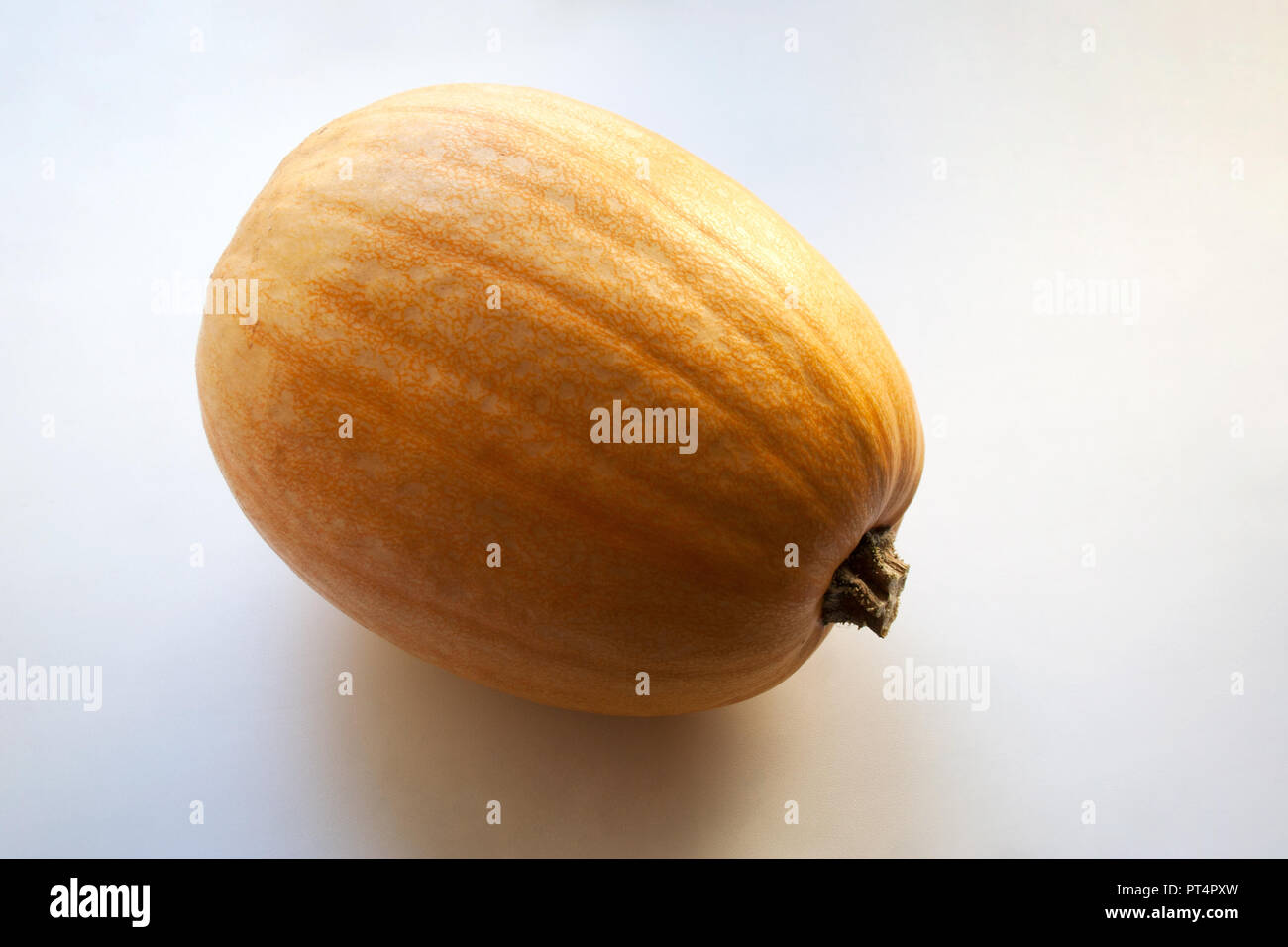 Halloween pumpkin isolated on white background Stock Photo - Alamy