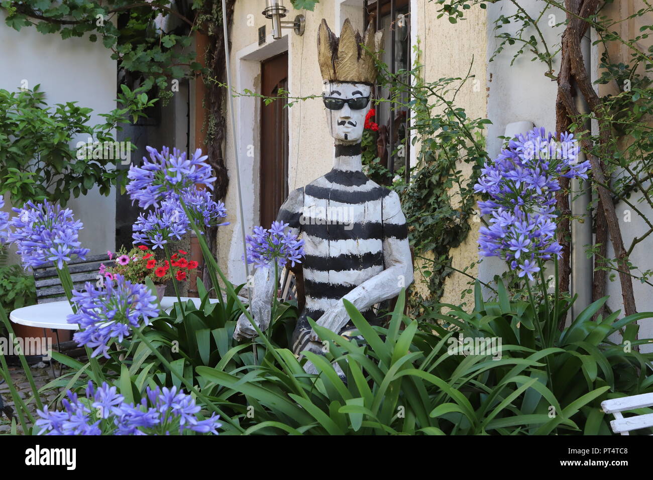 Agapanthus in side street of Wertheim Stock Photo