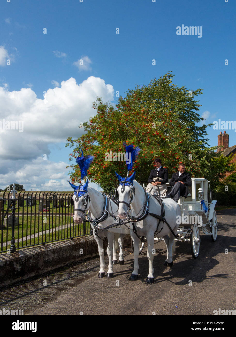 Horses drawing carriage hires stock photography and images Alamy