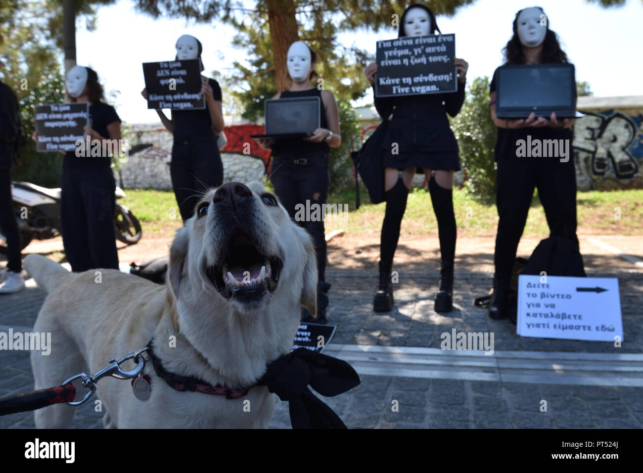 Page 2 - Vegan Protest High Resolution Stock Photography and Images - Alamy
