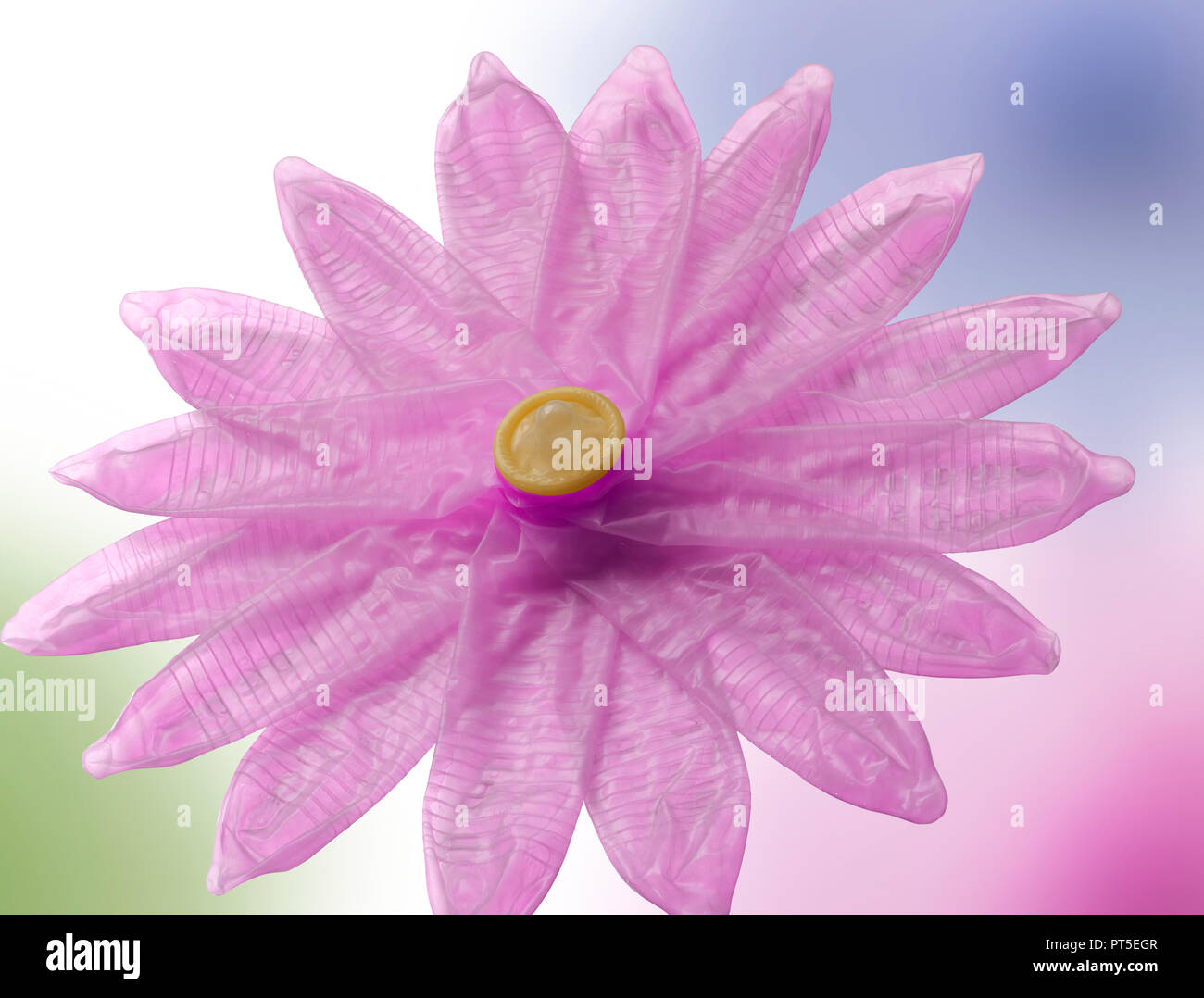 Concept Condoms in a shape of a pink flower Stock Photo