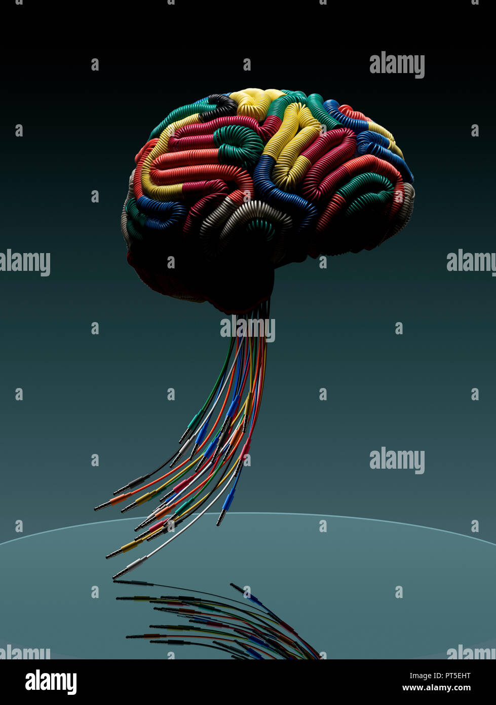 Concept Brain connected by color wires, Stem made of jack plugs, Wired, Connections Stock Photo