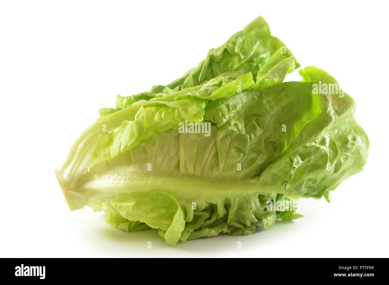 Romain Lettuce isolated on a white background Stock Photo