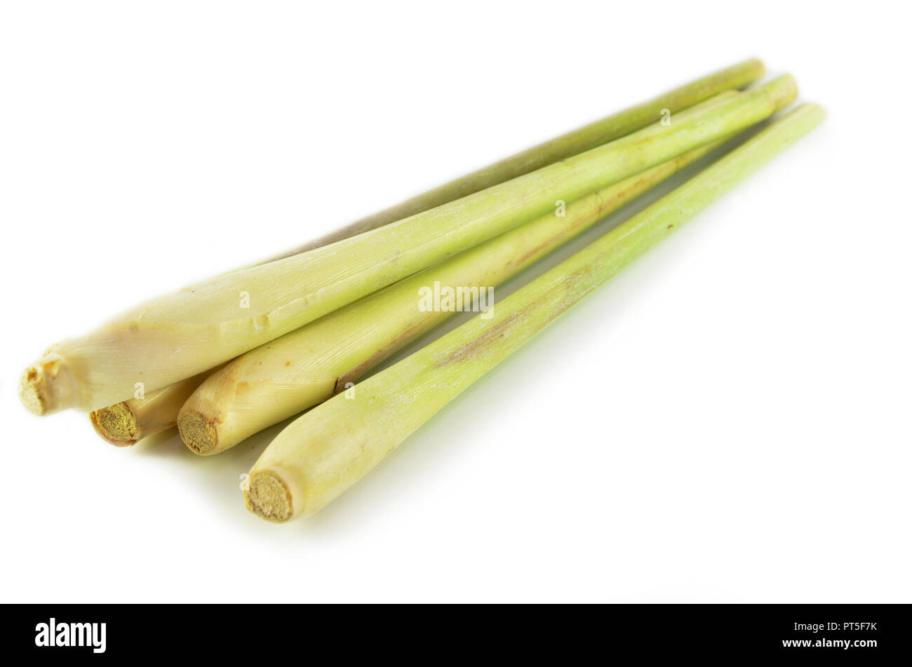 Fresh lemon grass isolated on white background Stock Photo - Alamy