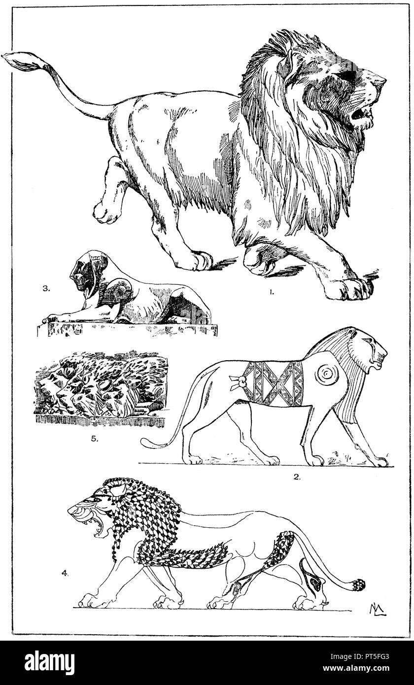 1. Naturalistic representation of a walking lion. (Munich picture sheet). 2nd Egyptian lion. Low relief with recessed outlines. From the temple to Dachel. (Raguenet). 3rd Egyptian lion. Original on the stairs of the Capitol in Rome. (Raguenet). 4. Assyrian lion. Original composed of rectangular, glazed clay tiles. From the Royal Palace to Khorsabad. 6th century BC. (Raguenet). 5. Heads of sacrificed lions. Part of an Assyrian bas-relief in the British Museum in London., ML  1918 Stock Photo