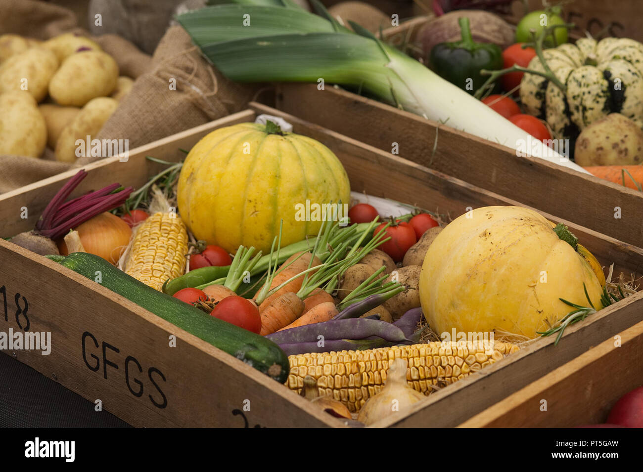 Vegetable boxes hires stock photography and images Alamy