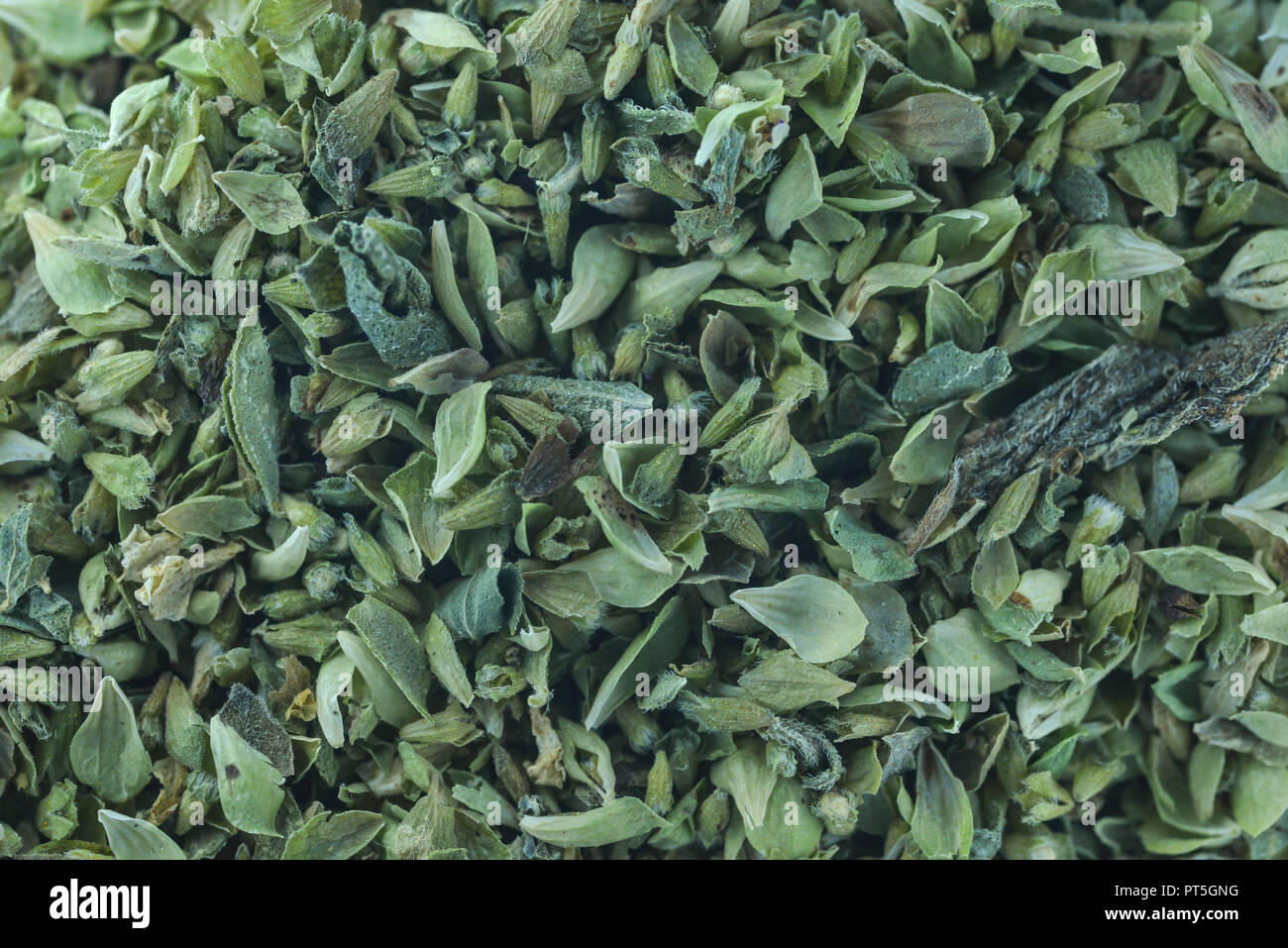 Extreme macro closeup top view dry oregano composition Stock Photo Alamy