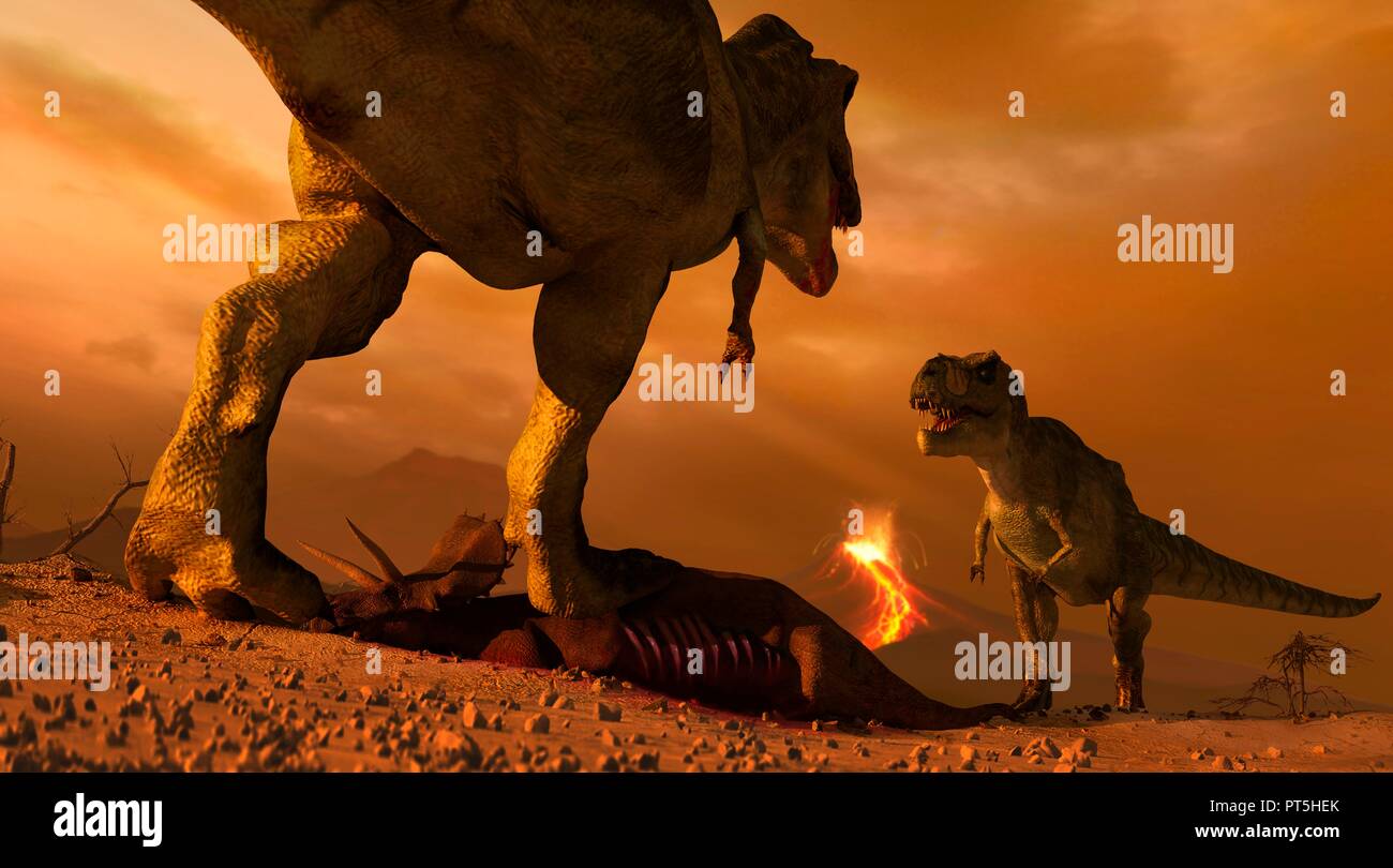 Tyrannosaurus triceratops prehistoric 3d hi-res stock photography and images - Alamy Tyrannosaurus triceratops prehistoric 3d hi-res stock photography and images - Alamy