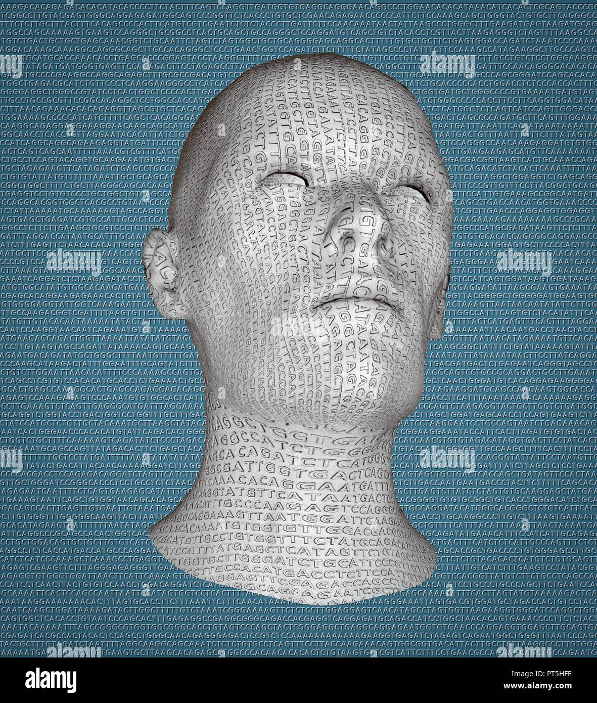 Illustration of an androgynous head engraved with the letters of the DNA (deoxyribonucleic acid) alphabet. The background represents a small section of human DNA. Stock Photo