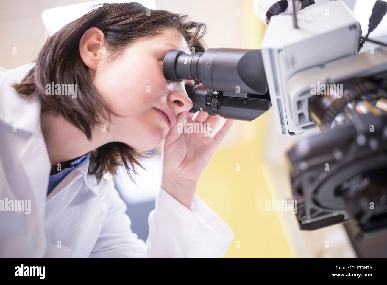 Female laboratory technician using microscope in the lab. Stock Photo