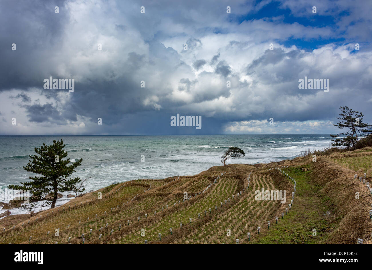 The rice terraces at Sanmaida. This series of terraced rice paddies located on steep slopes in Shiroyone-machi, Wajima City in Ishikawa Prefecture, Ja Stock Photo