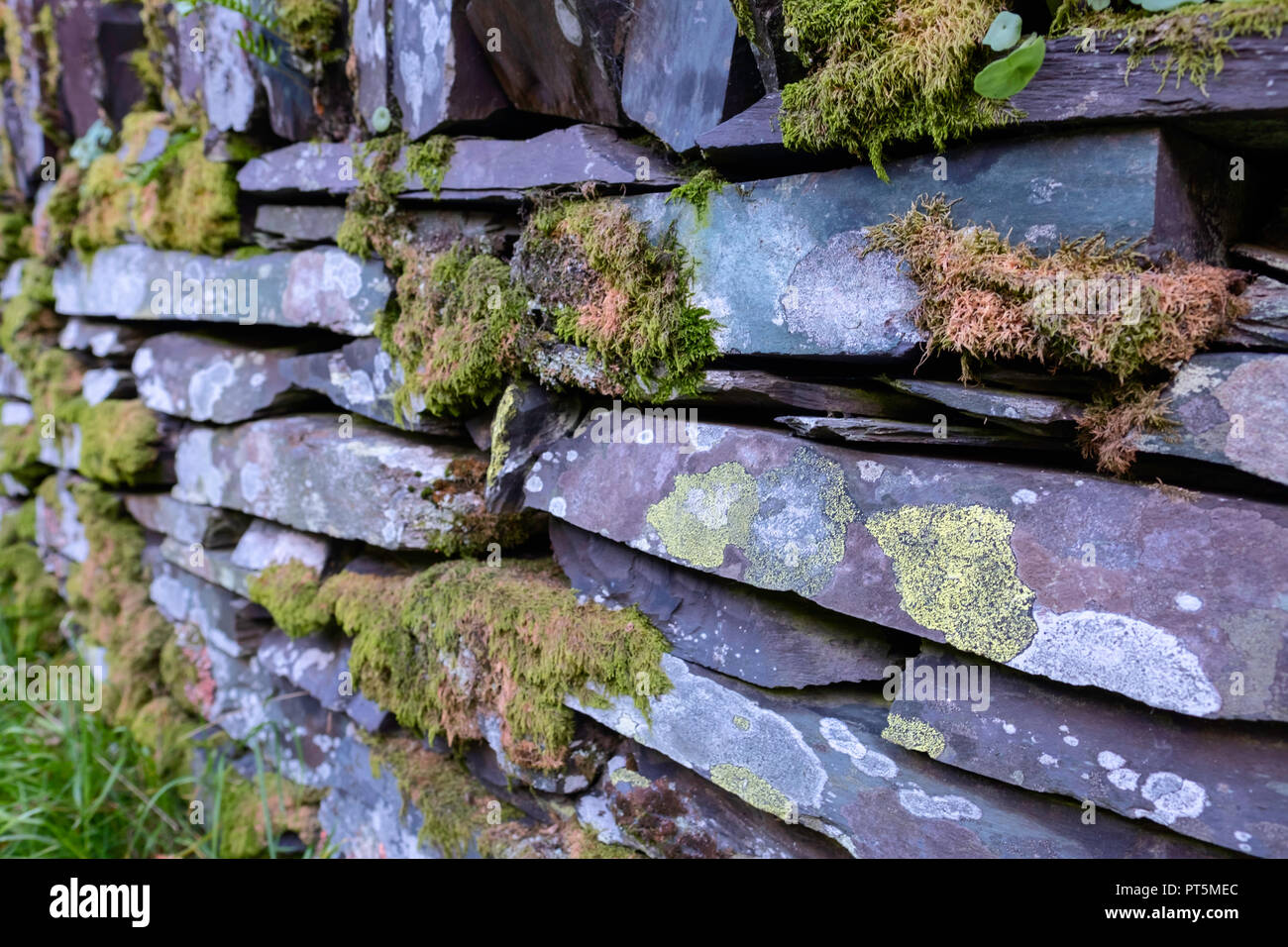 Slate boundary wall at The Dinorwick Quarry, Llanberis, North wales