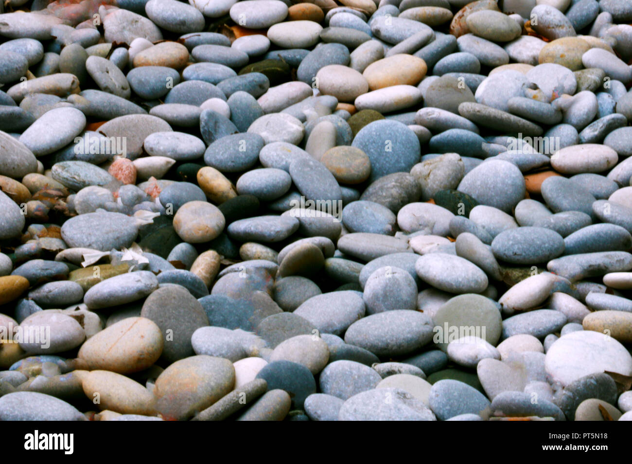 Beautiful background image of pebbles on the beach, background Stock Photo