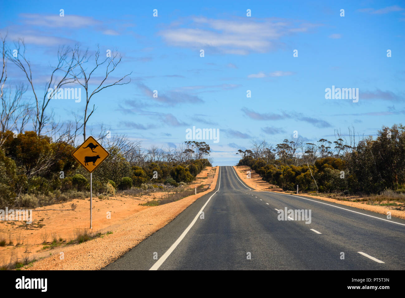 90 mile straight australias longest straight road western australia