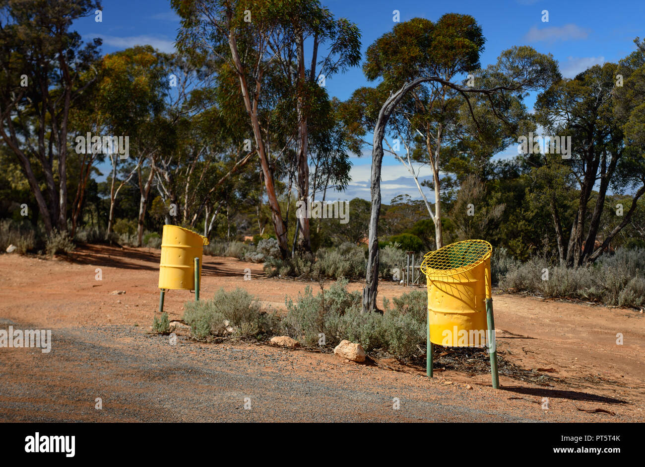 Yelow trash cans at a parking area in an eucalyptus forest, Western