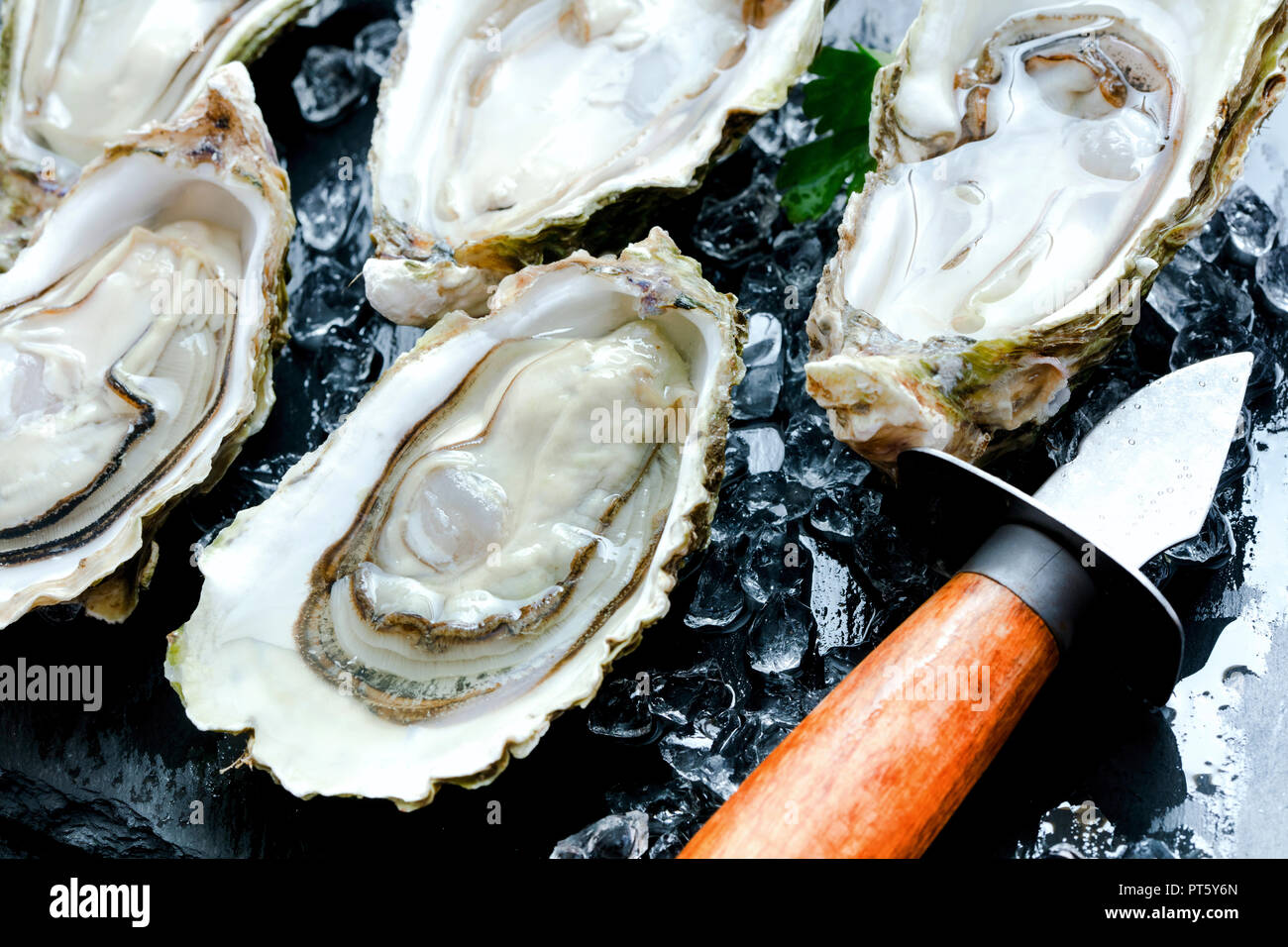 set of oysters on slate background Stock Photo