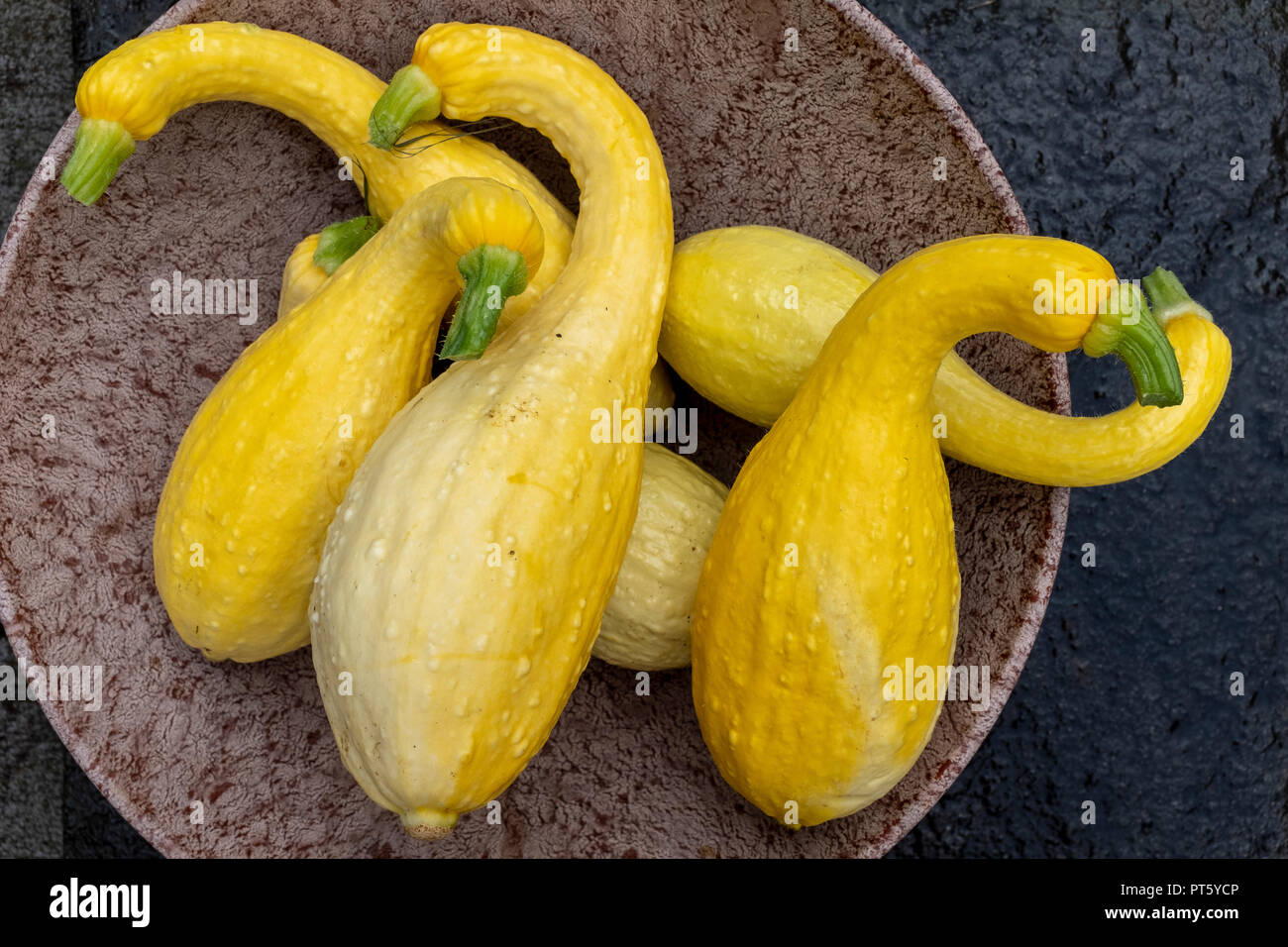yellow crookneck squash Stock Photo Alamy