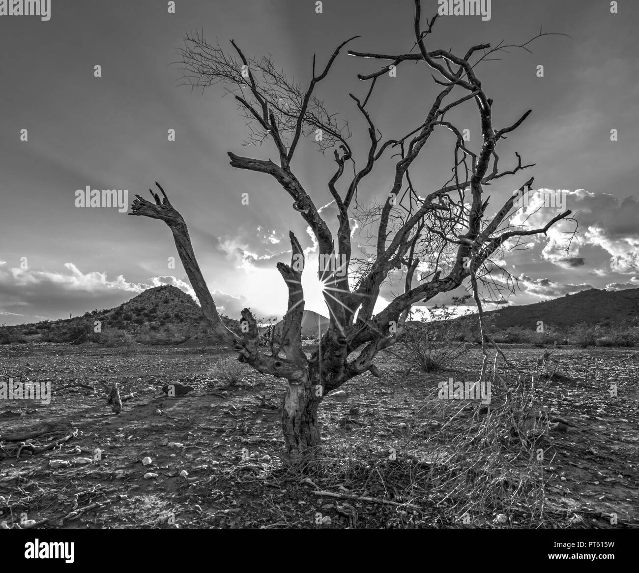 Exploring arizona Black and White Stock Photos & Images - Alamy