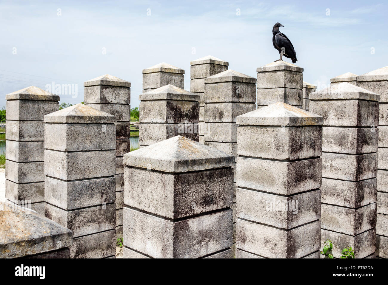 Miami Florida,Everglades National Park,ValuJet Flight 592 Memorial,air airplane jet crash,those who perished victims list,vulture vultures,FL180731020 Stock Photo