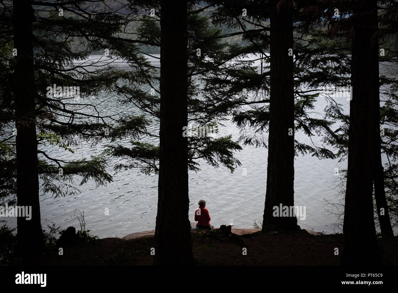 a person sitting admire the view in a thoughtful moment in the wilderness. Stock Photo