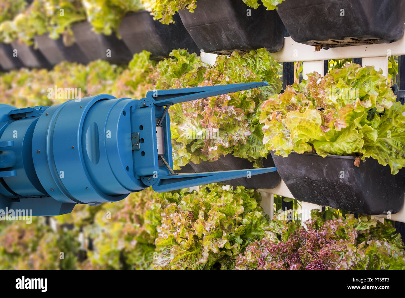 Agriculture technology concept with 3d rendering robot arm harvest ...