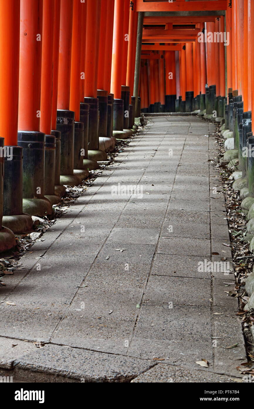 fushimi inari-taisha shrine, kyoto, japan Stock Photo
