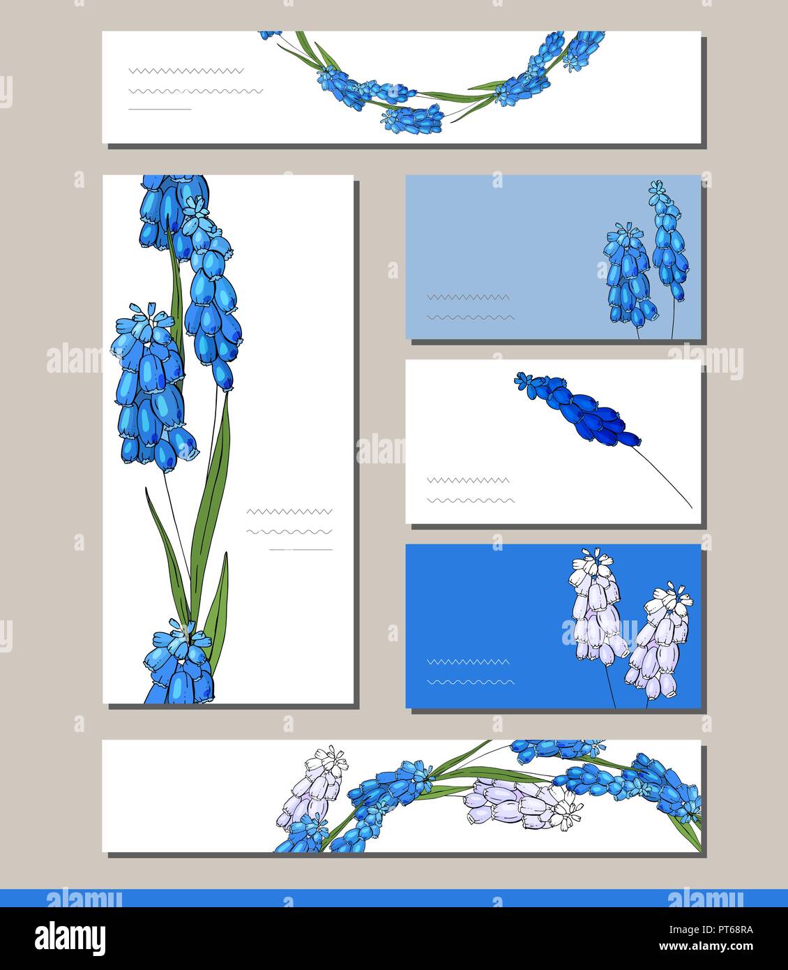 Muscari set with visitcards and greeting templates Stock Vector