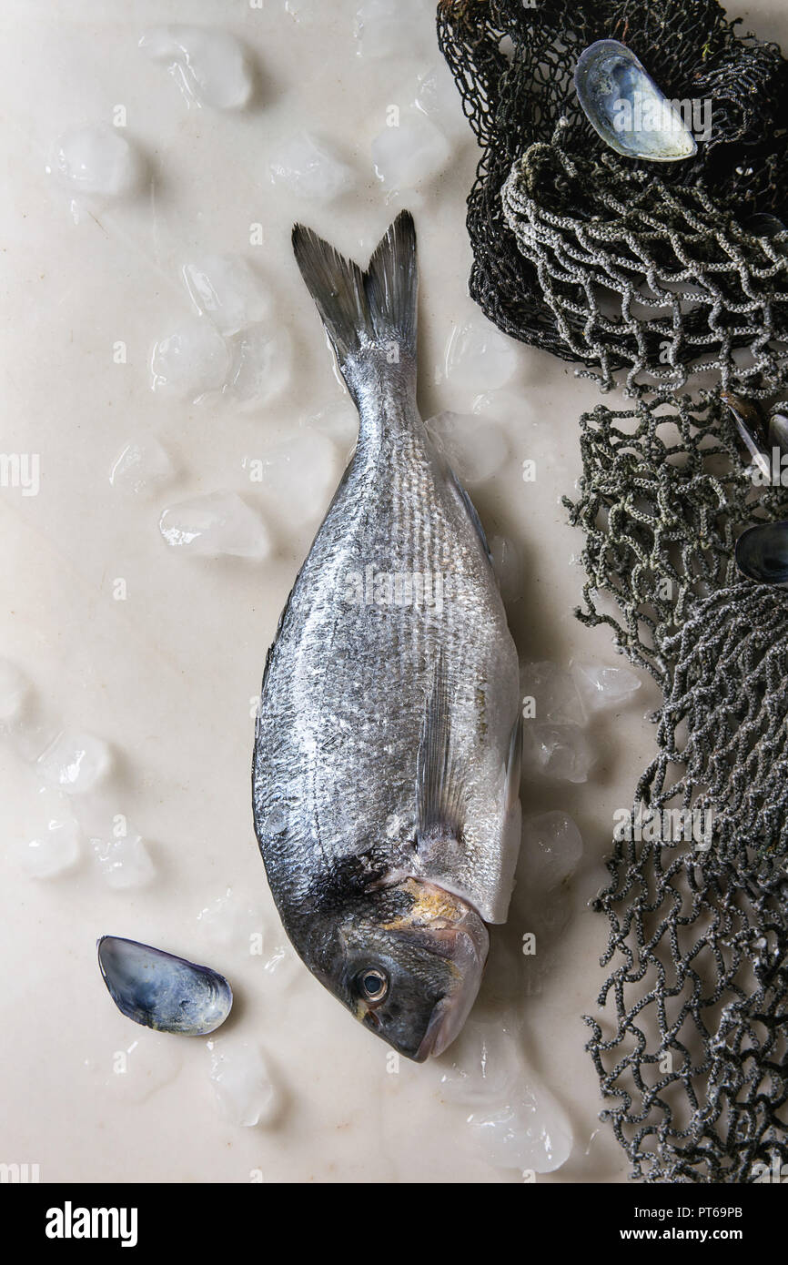 Raw sea bream fish Stock Photo