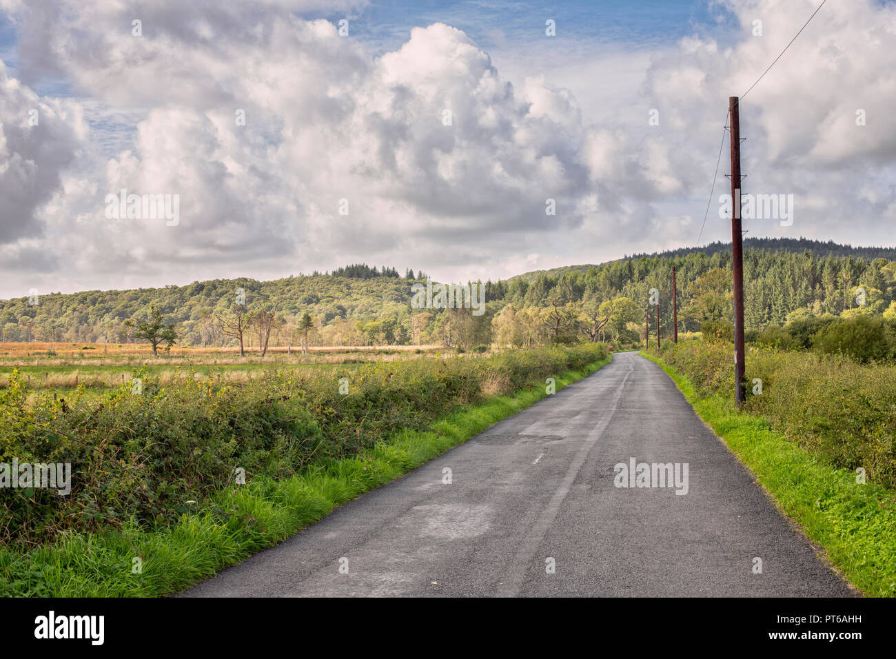 The Causeway, Rusland Valley - a slightly raised road over the often wet valley floor. Stock Photo