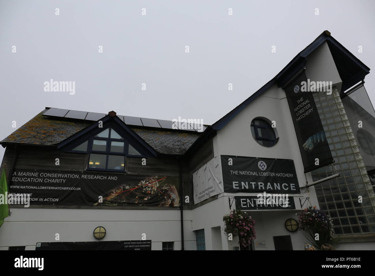 The National Lobster Hatchery, Padstow, Cornwall Stock Photo Alamy