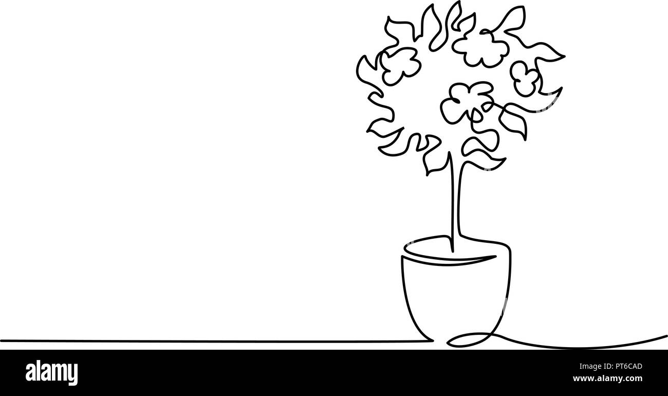 Continuous one line drawing. Blooming tree in pot. Vector illustration Stock Vector