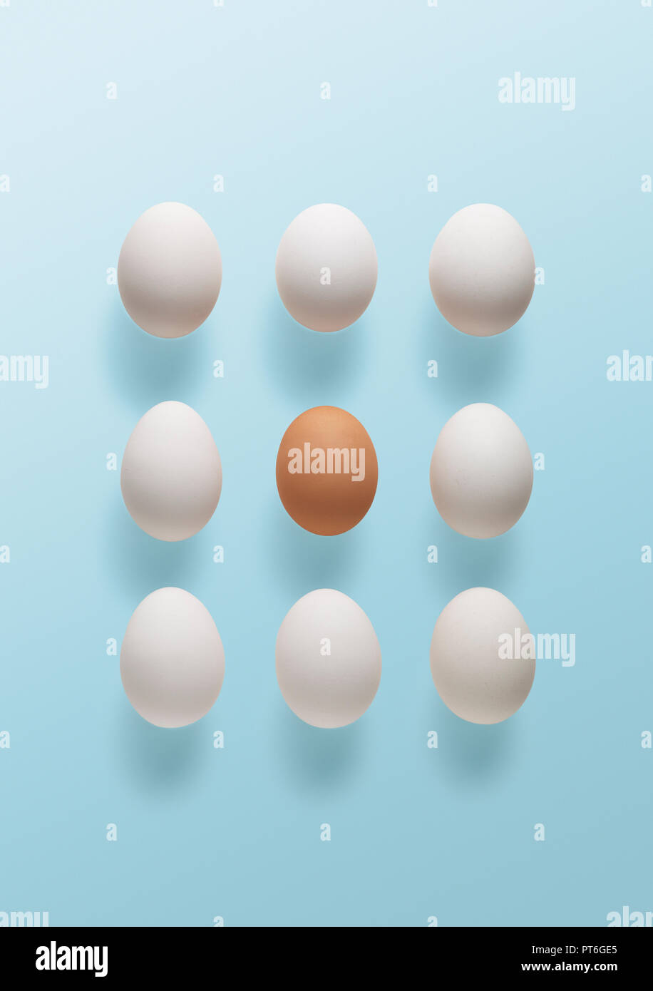 Concept a brown egg surrounded by white Stock Photo