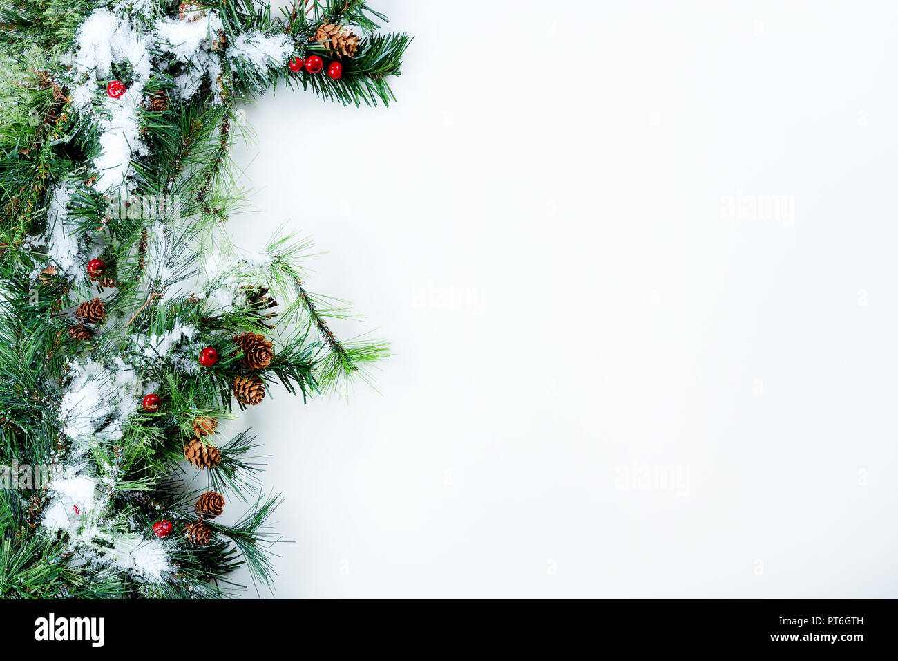 Snow on Christmas tree evergreen branches on left border of a white ...