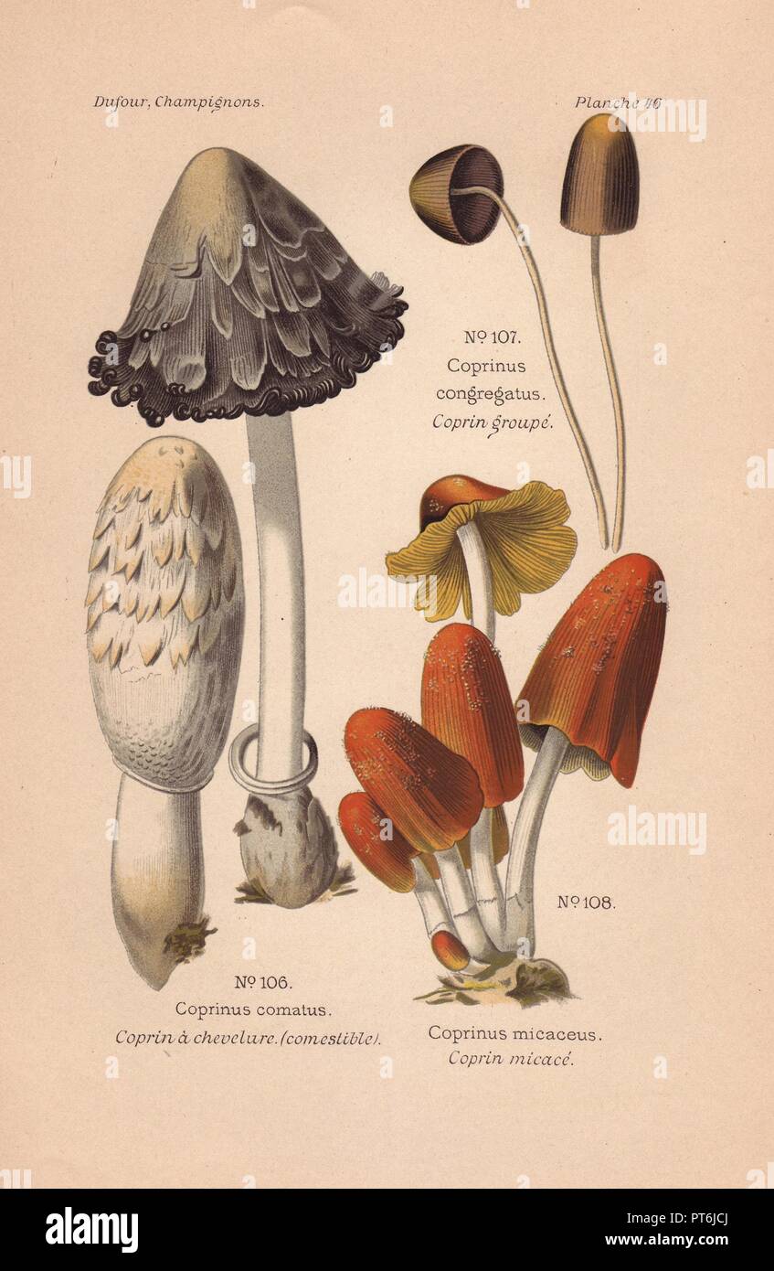 Tiffani Tompson HD porno videoni tomosha qiling Kichkintoy qiz videoda yechinyapti.