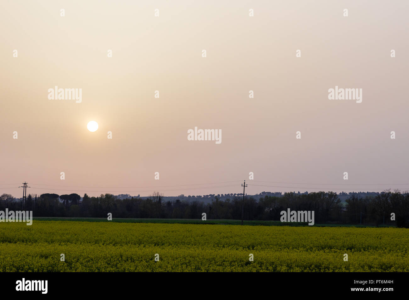 Sunset with sand suspended in the atmosphere, coluring the sky red, over some cultivated fields with yellow flowers Stock Photo