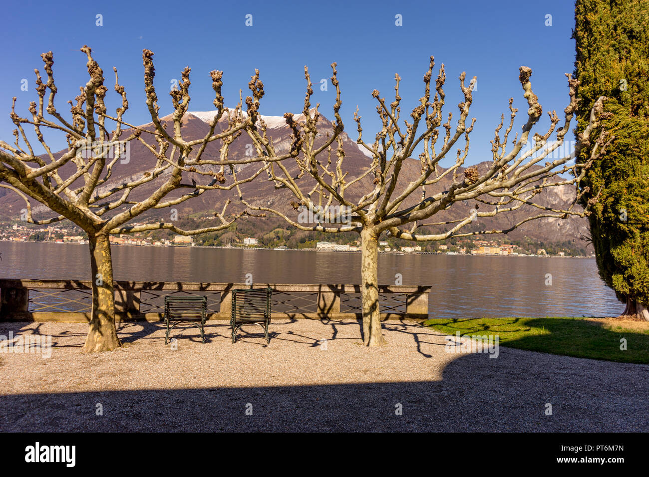 Europe, Italy, Bellagio, Lake Como, a tree next to a body of water Stock Photo Alamy