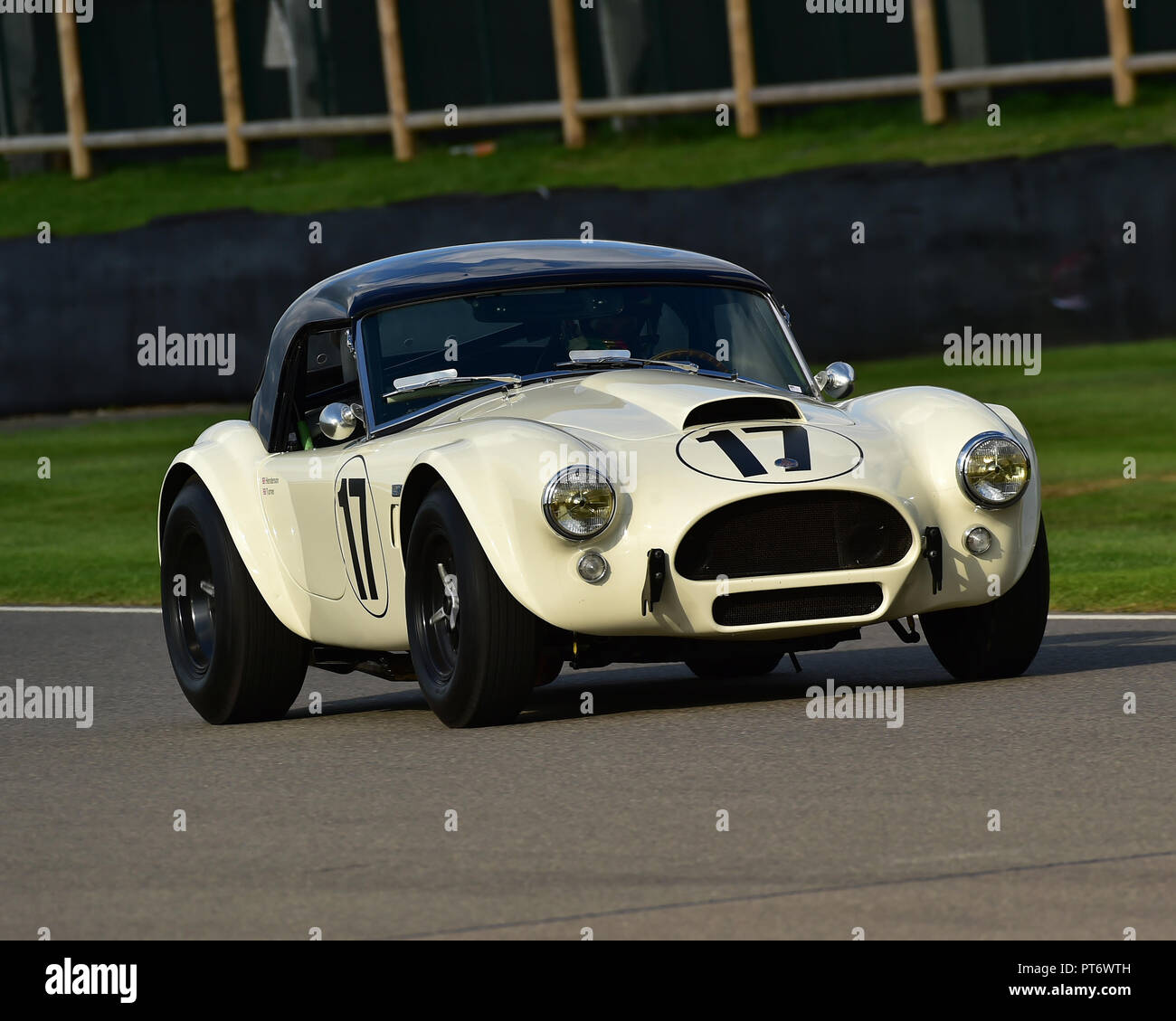 Rory Henderson, Darren Turner, AC Cobra, Royal Automobile Club TT