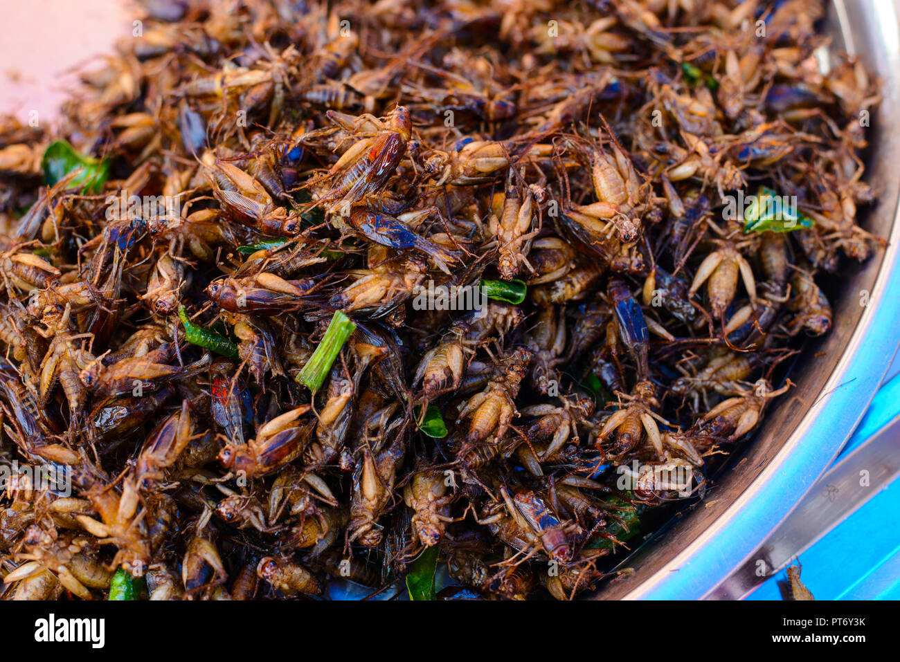 Cooked grasshopper hi-res stock photography and images - Alamy