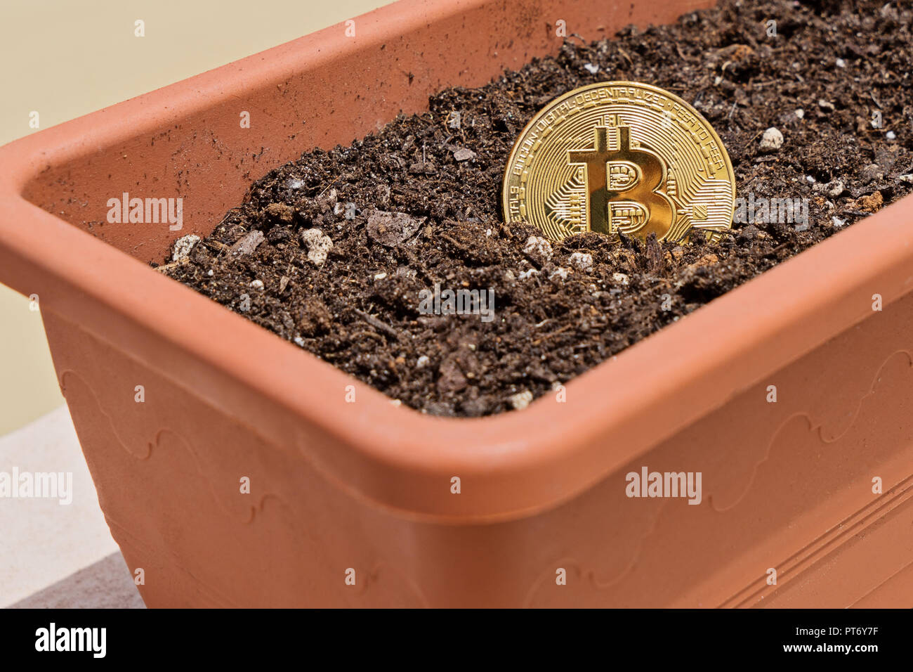 Bitcoin coin in the soil. Mining cryptocurrencies concept. Yellow buried  coin and shovel Stock Photo - Alamy